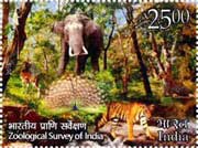 Zoological Survey of India