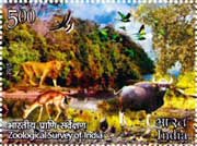Zoological Survey of India
